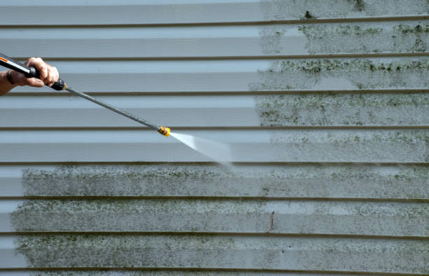 Best Mold Removal Process  in Edinburg, TX